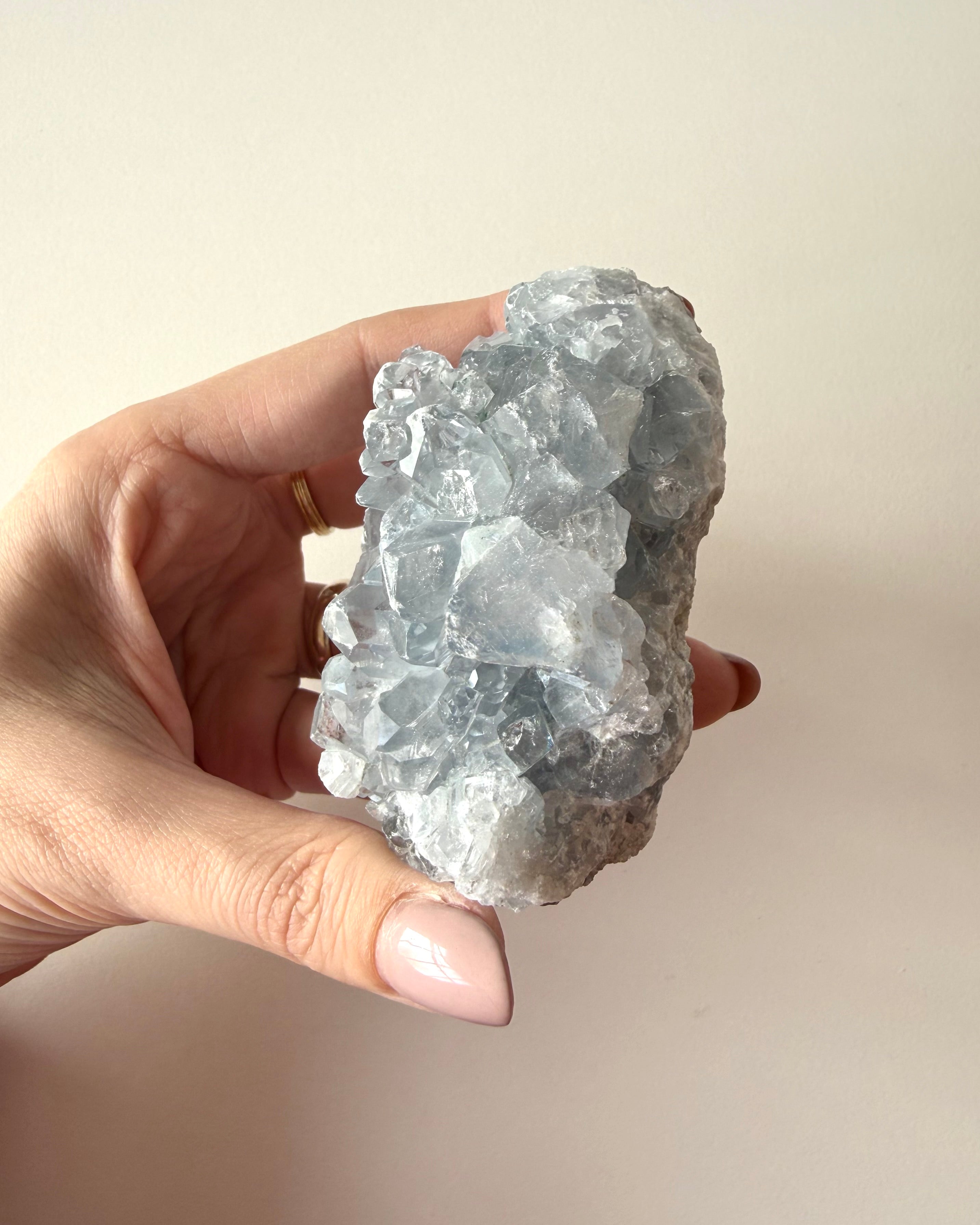 Drusa di Celestina (9)