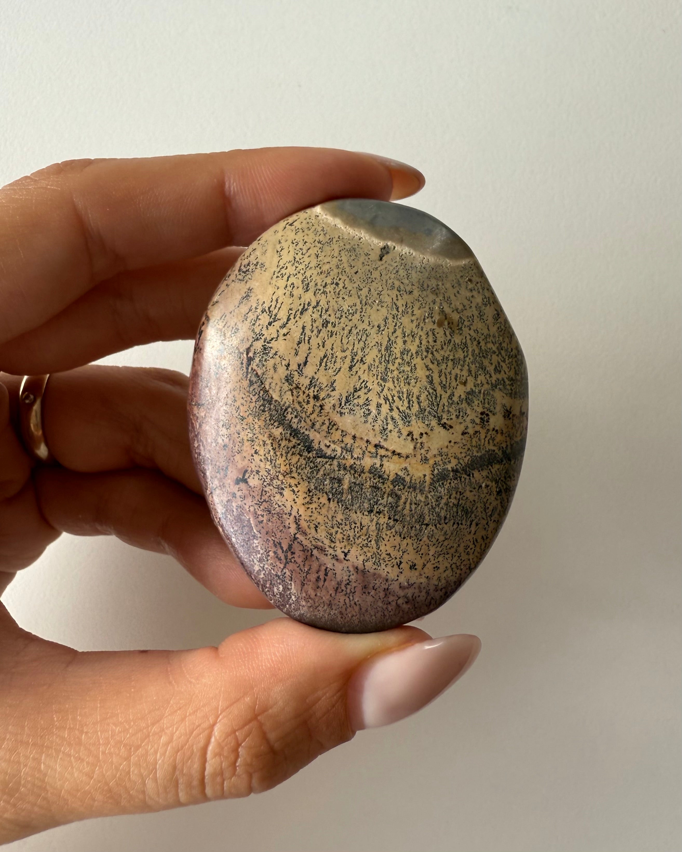 Palmstone in Diaspro Paesaggio