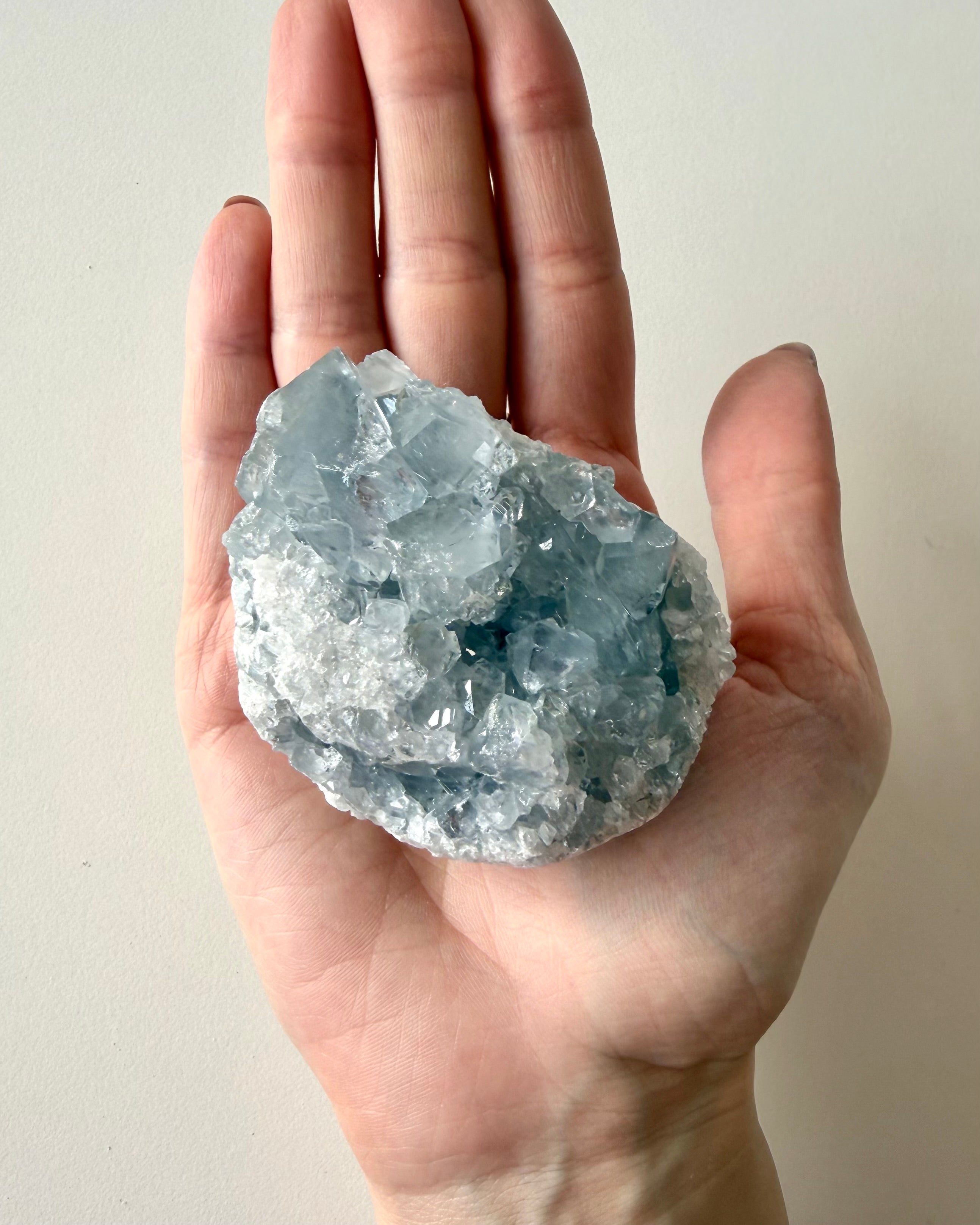 Drusa di Celestina (6)