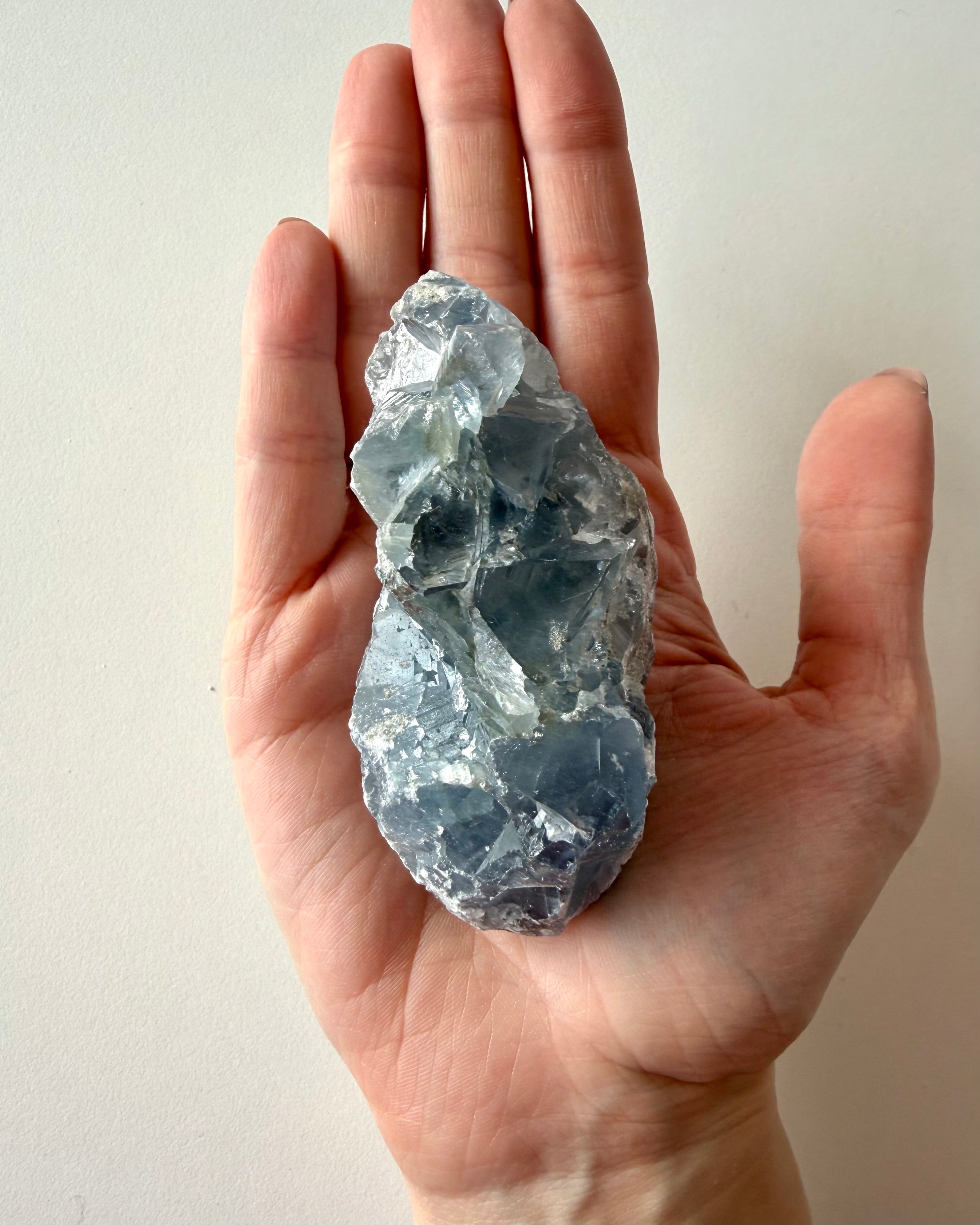 Drusa di Celestina (7)