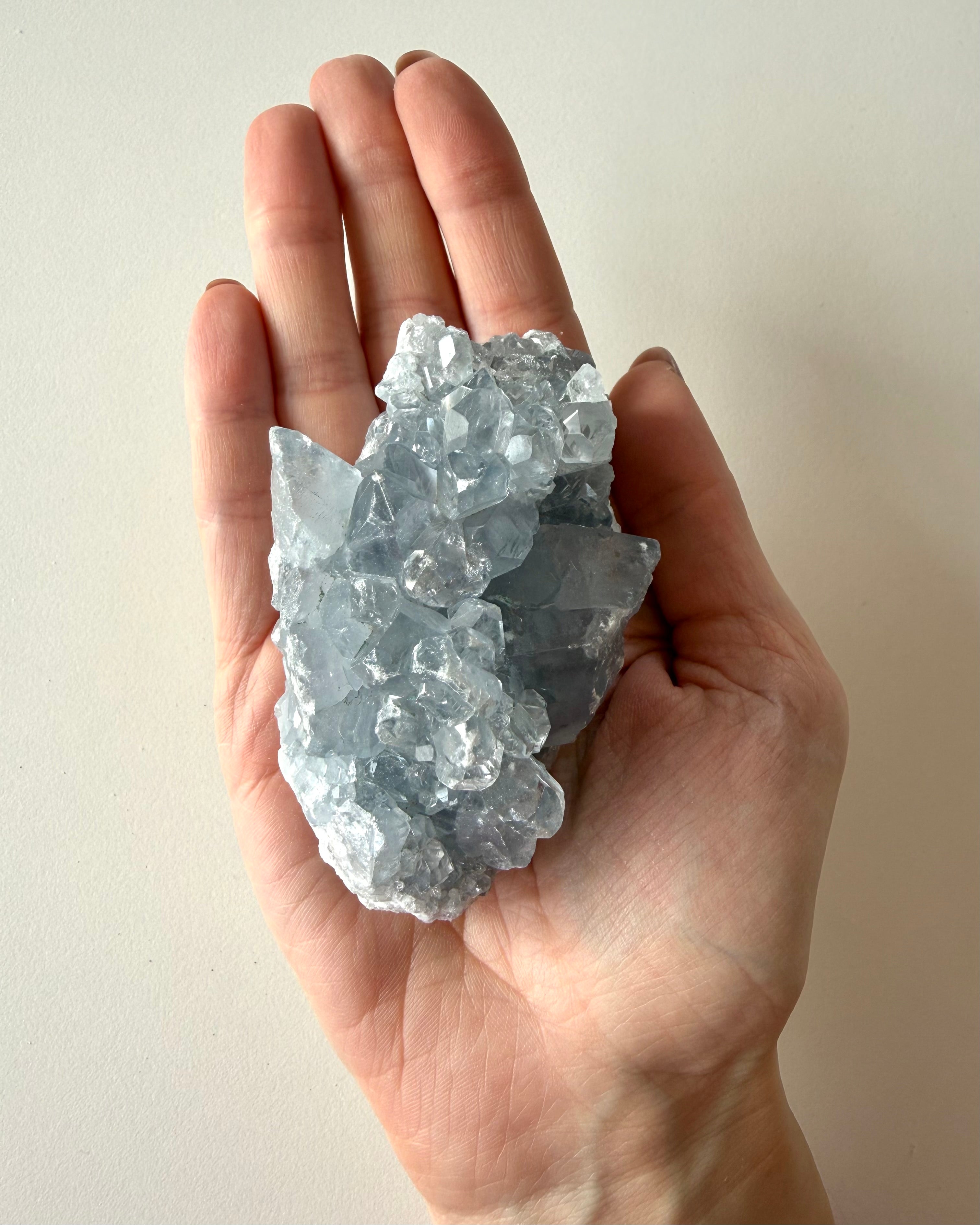 Drusa di Celestina (9)