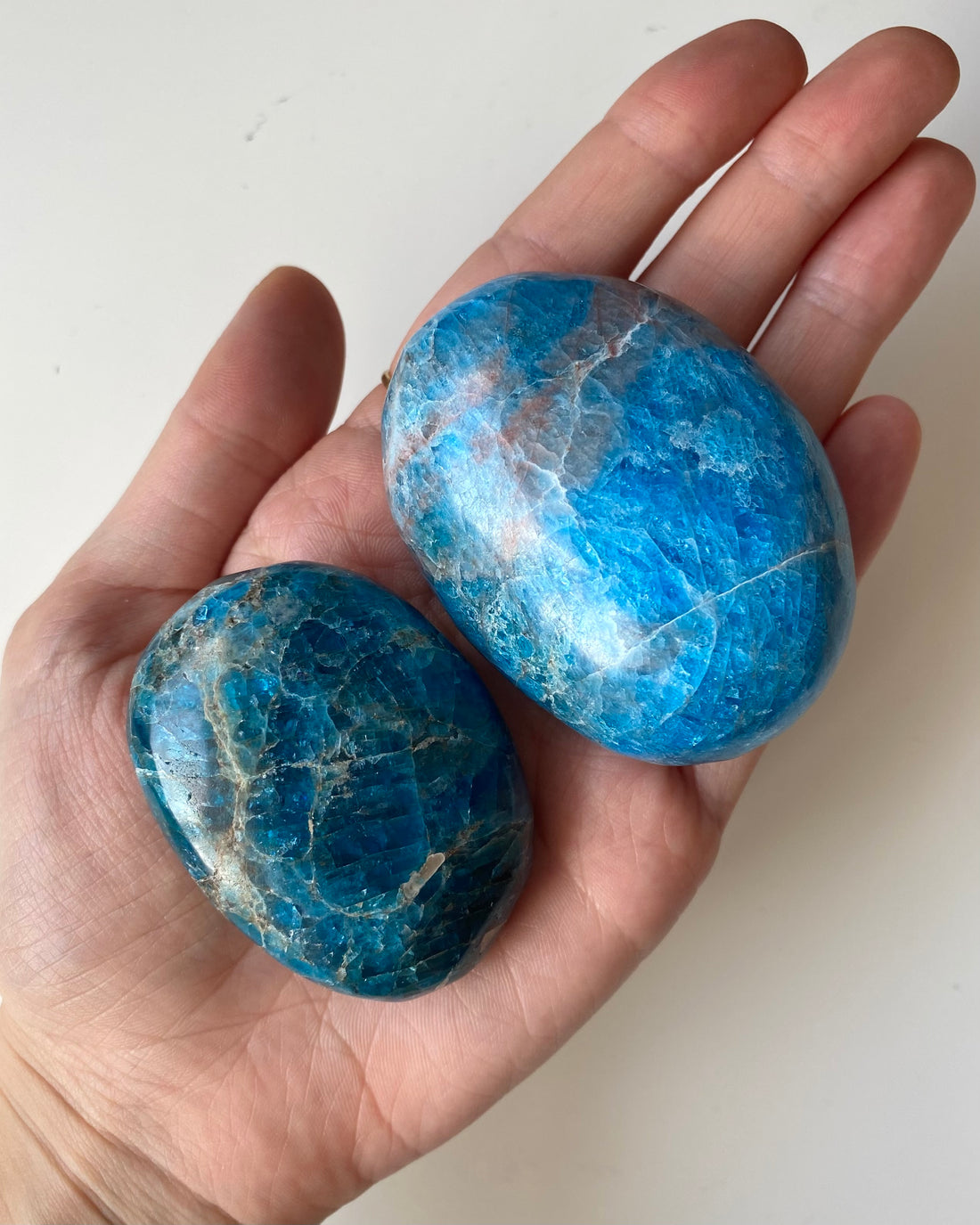 Palmstone in Apatite