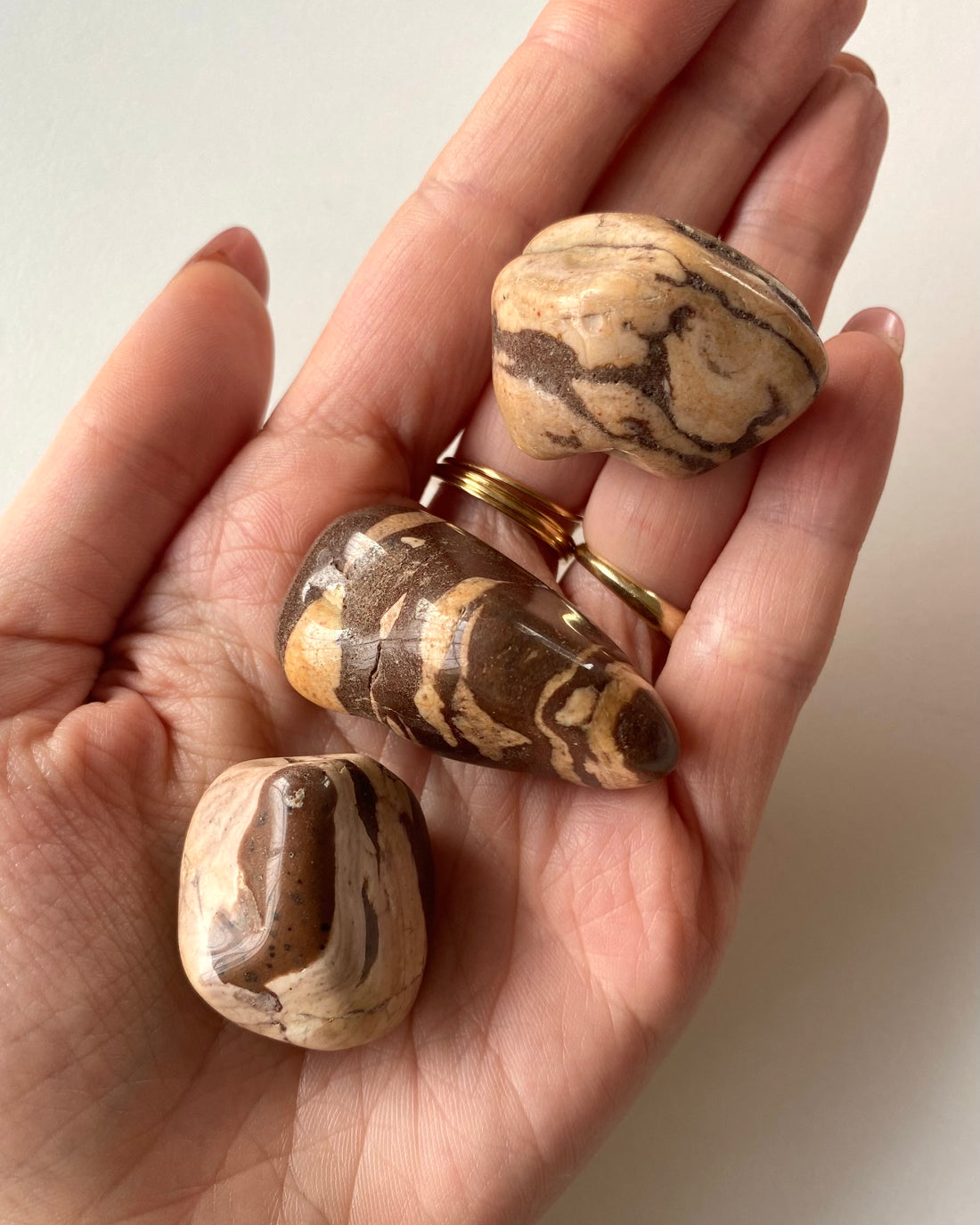 Diaspro Paesaggio burattato