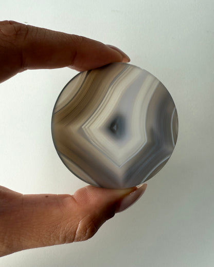 Palmstone in Agata piatta