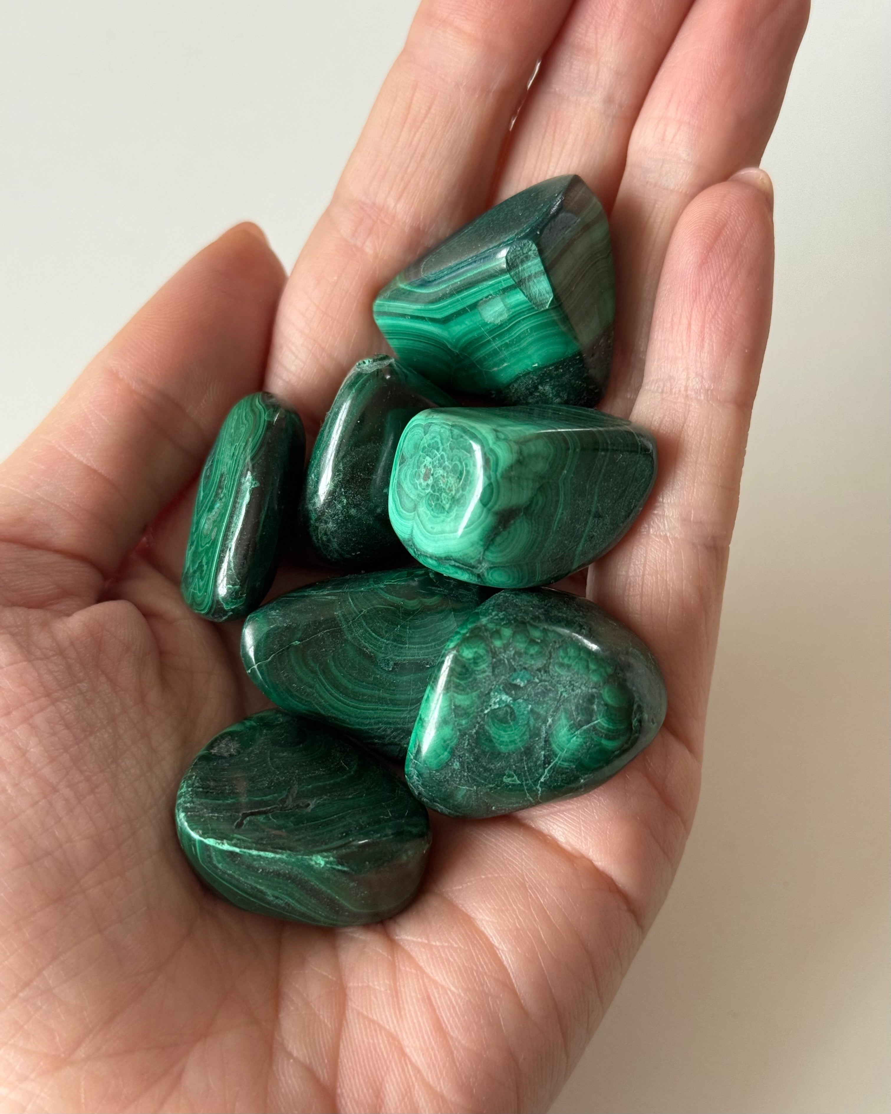 Malachite burattata