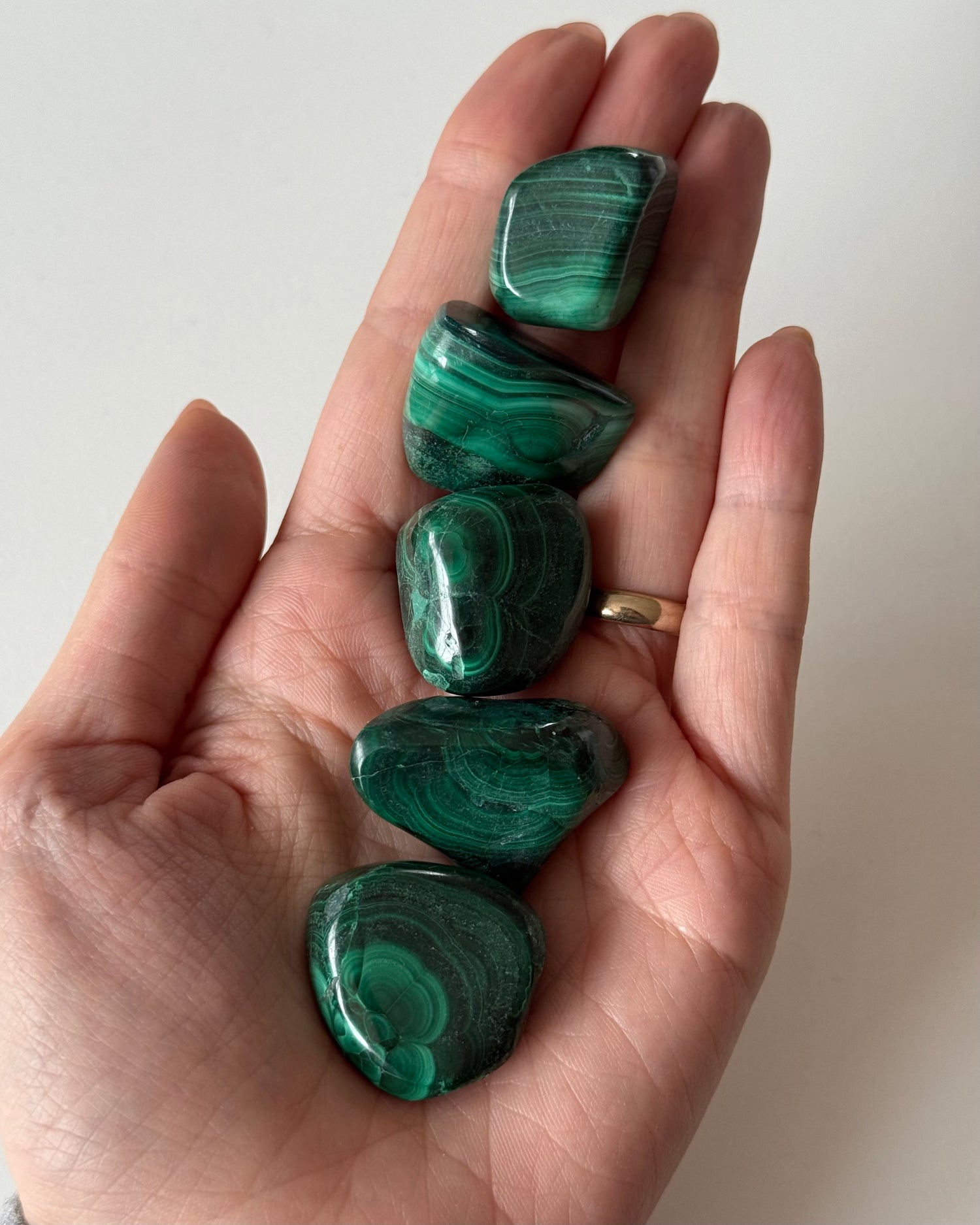 Malachite burattata