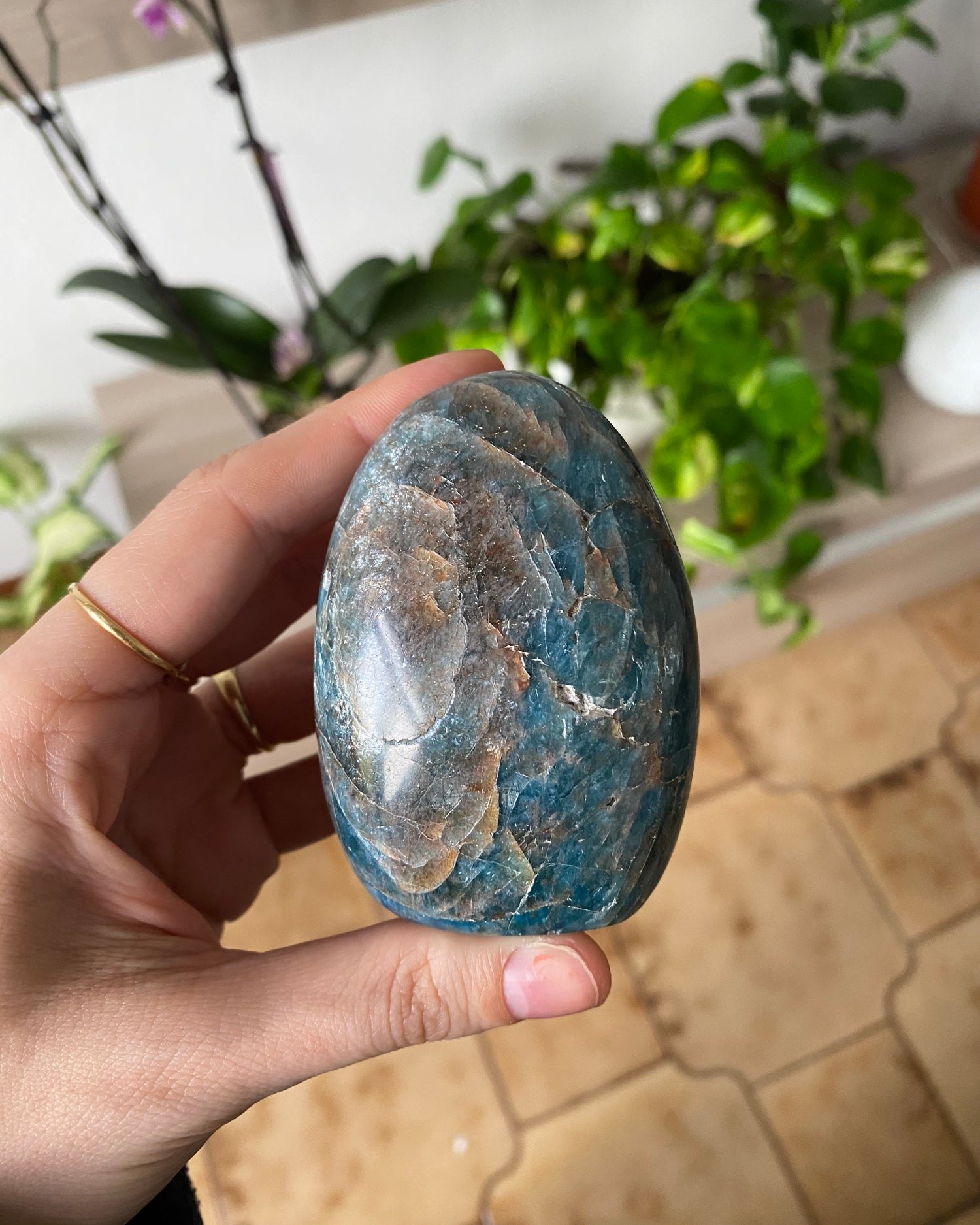 Freeform in Apatite