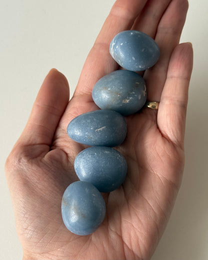 Angelite burattata