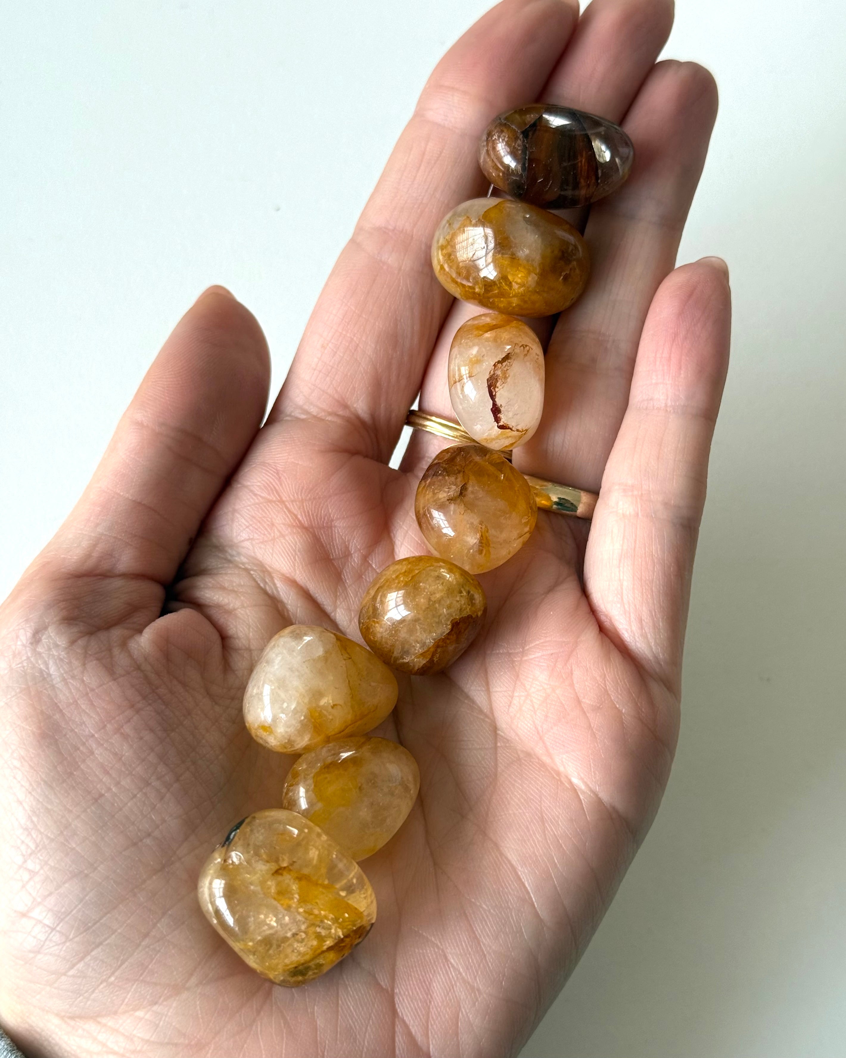 Golden Healer burattato (S)