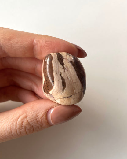 Diaspro Paesaggio burattato