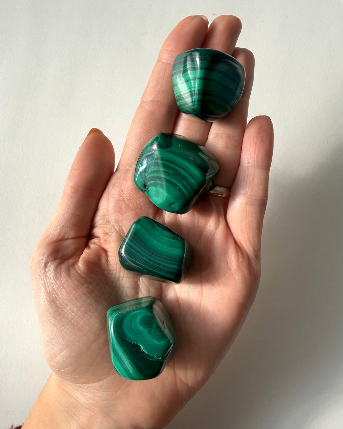 Malachite burattata