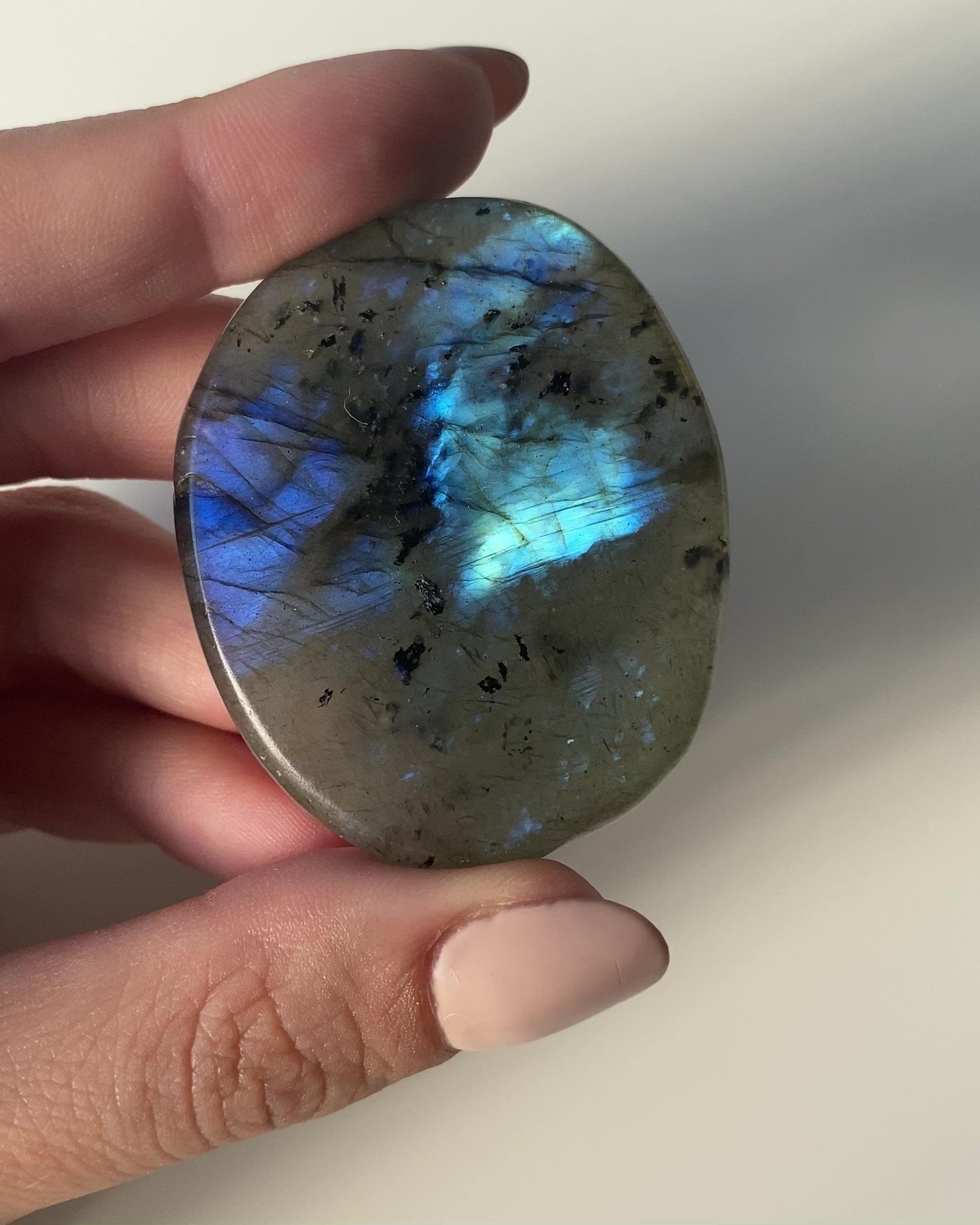 Palmstone in Labradorite